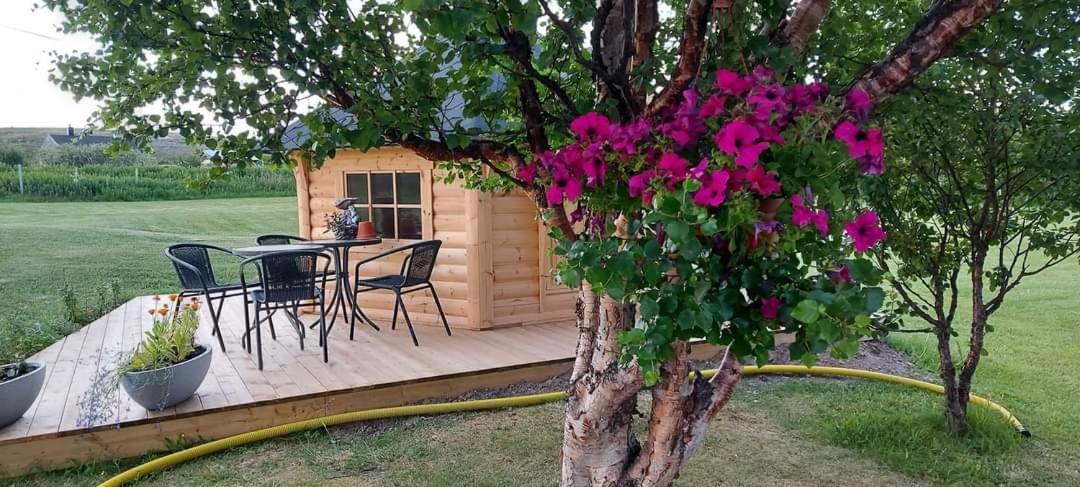 Varjjatgeainu Apartment Nesseby Varangerbotn Εξωτερικό φωτογραφία
